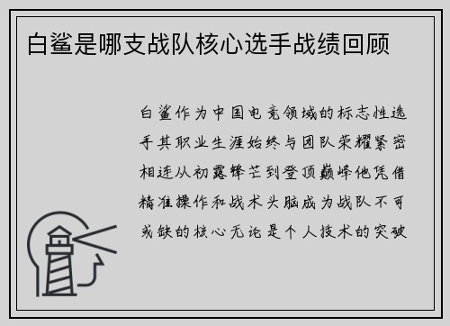 白鲨是哪支战队核心选手战绩回顾