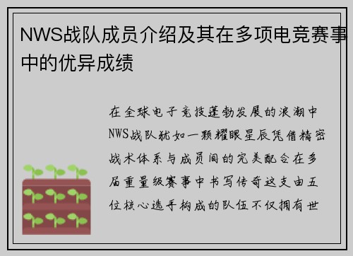 NWS战队成员介绍及其在多项电竞赛事中的优异成绩